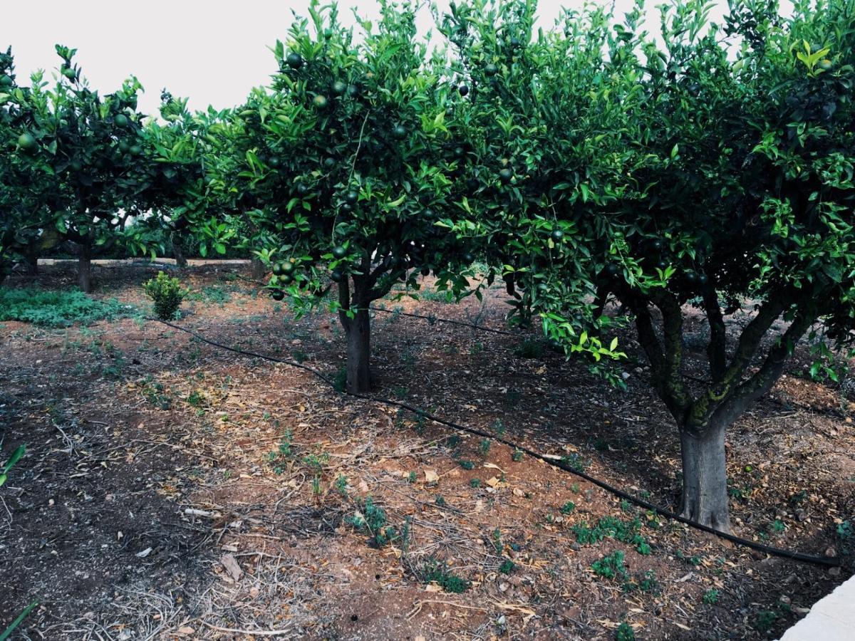 B&B Zagara Marsala Exterior foto